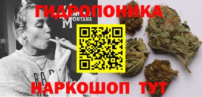 сатива Беслан
