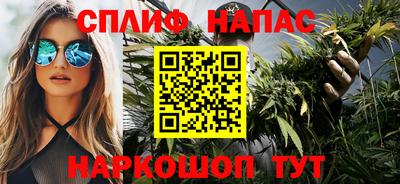 сатива Беслан