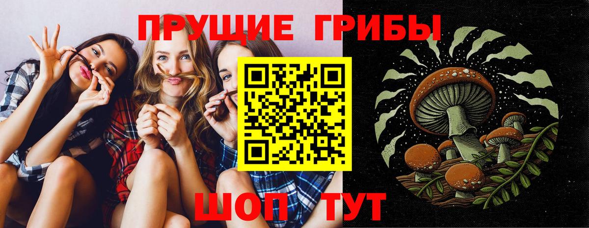 Псилоцибиновые грибы MAGIC MUSHROOMS Калининград