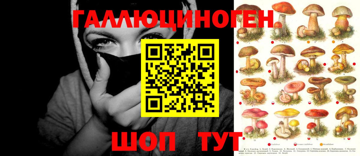 Псилоцибиновые грибы GOLDEN TEACHER  Вход с VPN  Галлюциногенные грибы Cubensis  Калининград 